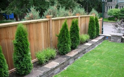 Build a Wooden Fence