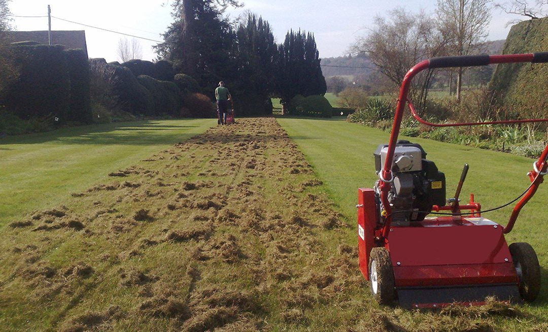 Prevention and Control of Moss