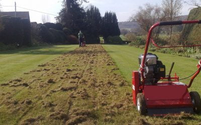 Prevention and Control of Moss