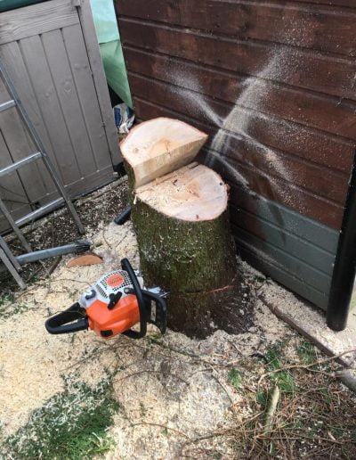 Tree Removal - Hedgehogs Outdoor - Landscaping and Maintenance in Harrogate