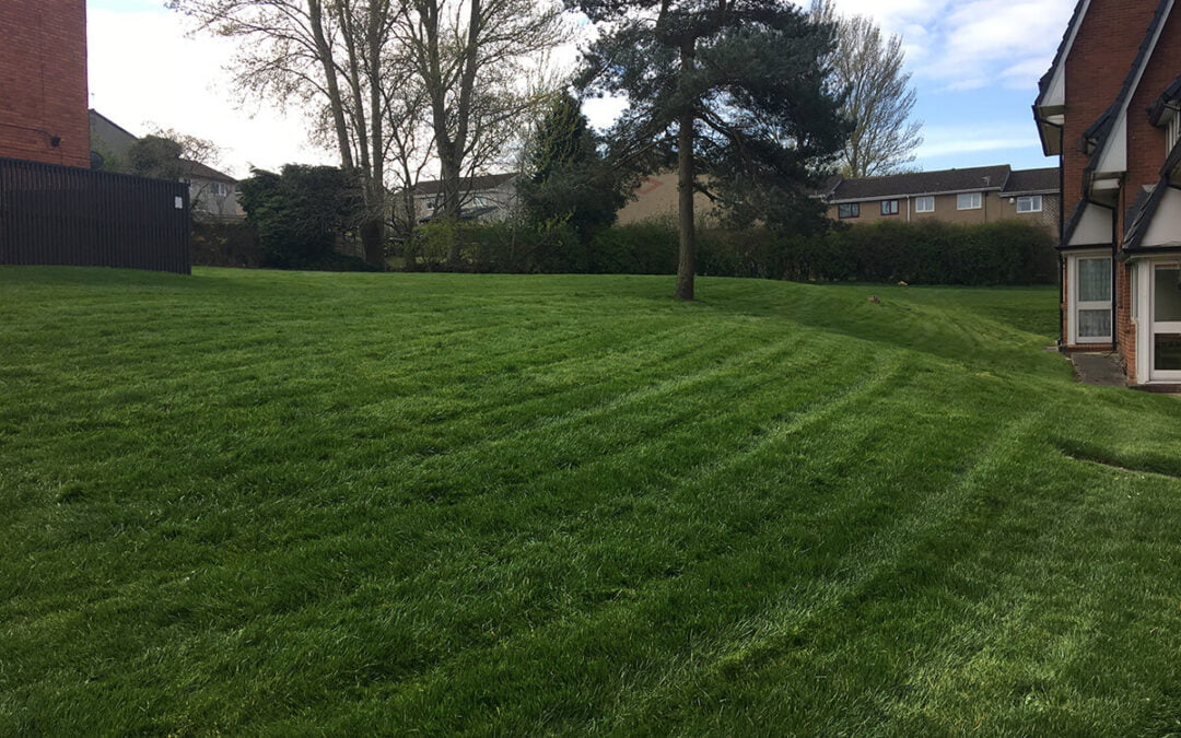 Commercial Grounds Maintenance Yorkshire