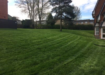 Commercial Grounds Maintenance Yorkshire