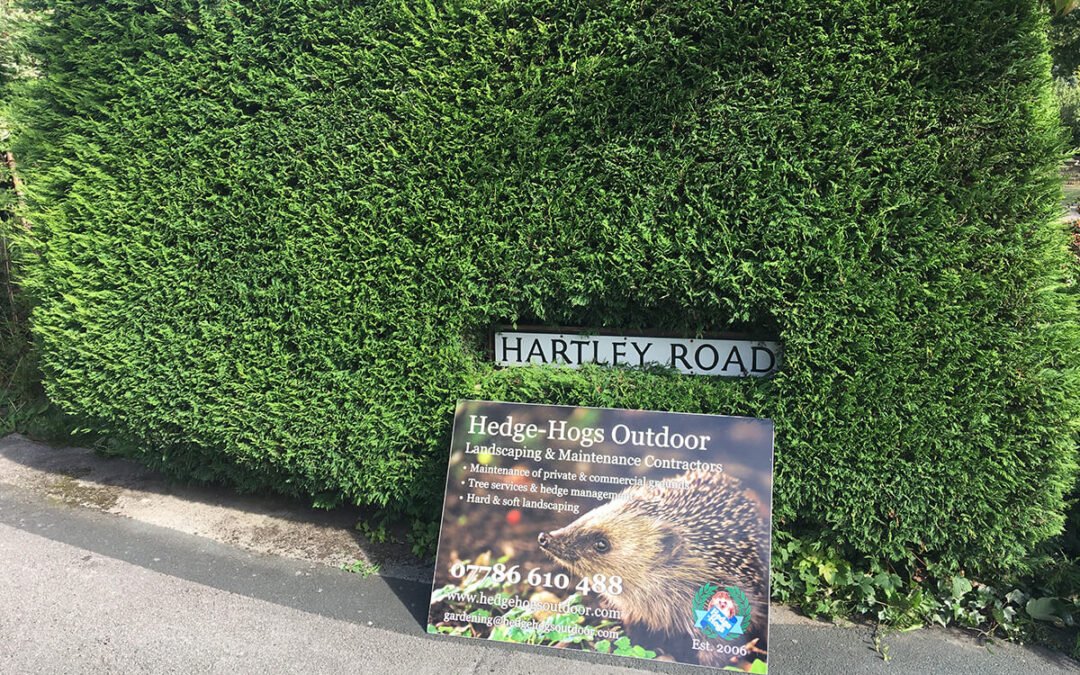 Hedge Cutting Harrogate