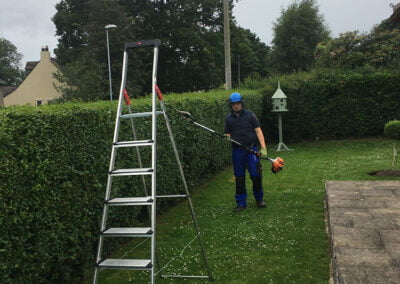 Hedge cutting & tree services across Yorkshire