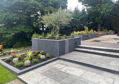 Soft landscaping with olive tree centrepiece - Leeds - After