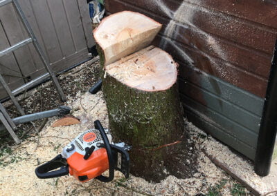 Tree Removal Yorkshire