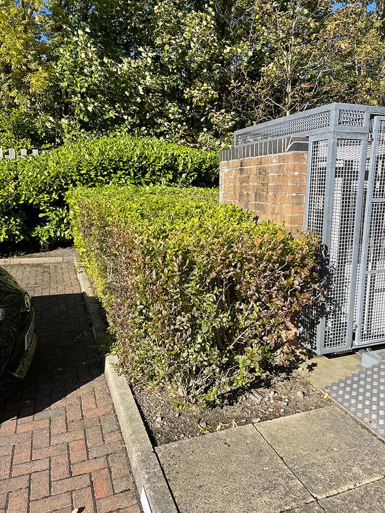 Industrial Estate Maintenance HedgeHogs Landscaping and Maintenance