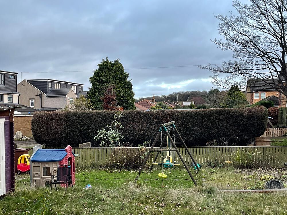 Conifer Hedge Size Reduction Yeadon